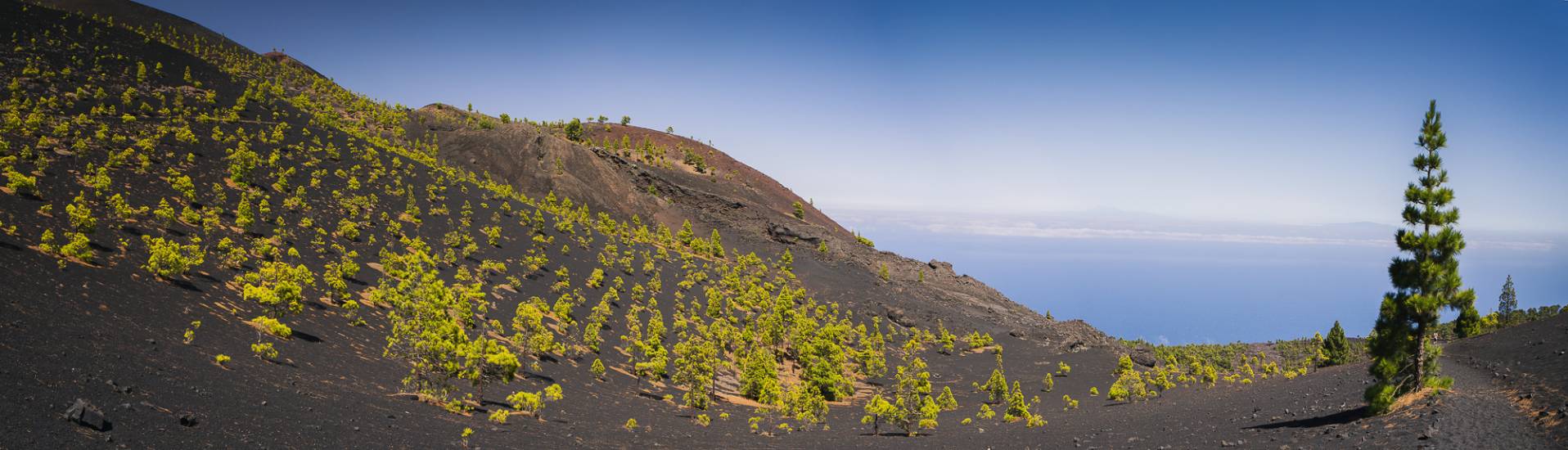 Photo - Îles Canaries - Iles Canaries #17